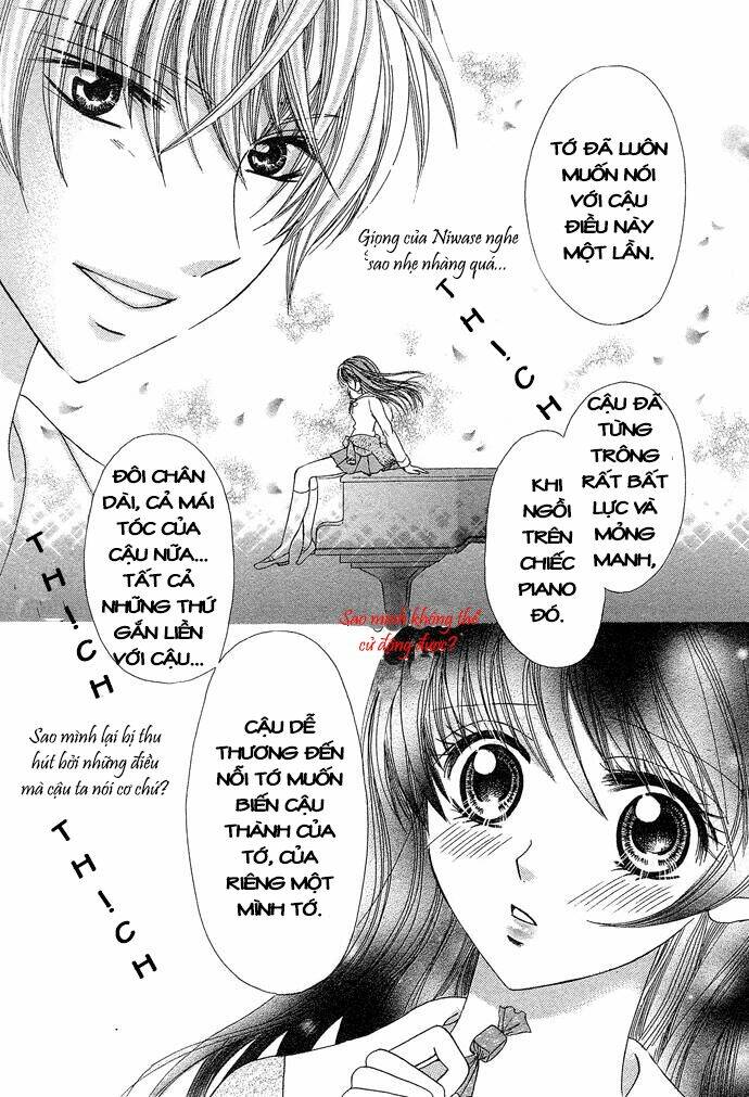 chocolate temptation chapter 1 15