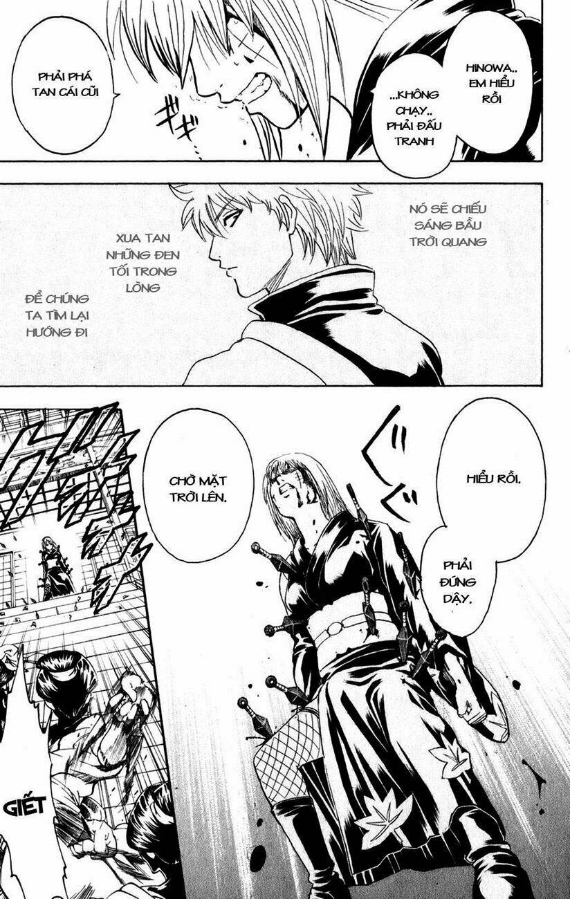gintama - linh hồn bạc chapter 217 13