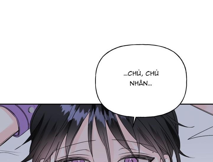 xác suất tình yêu chapter 52 47