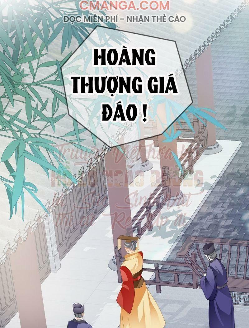 bổn vương muốn nàng chapter 29 28