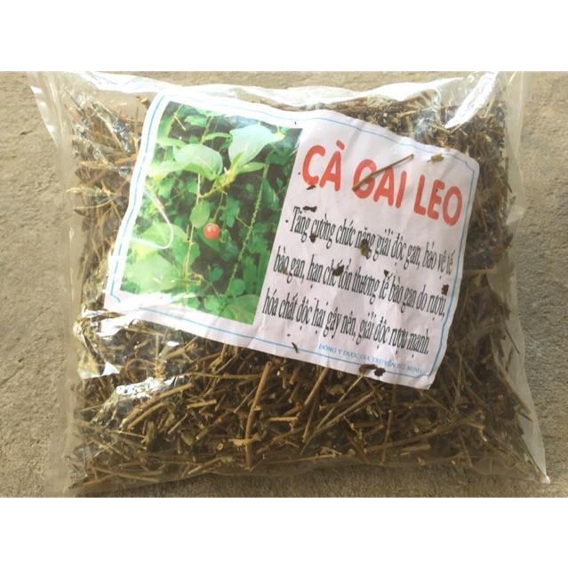 Cà gai leo sạch Hoà Bình