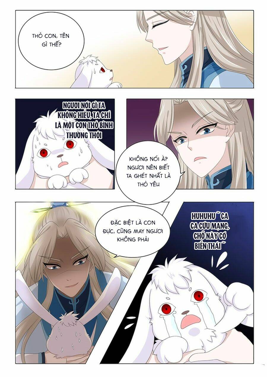 đống phù đã khai quang chapter 21 10