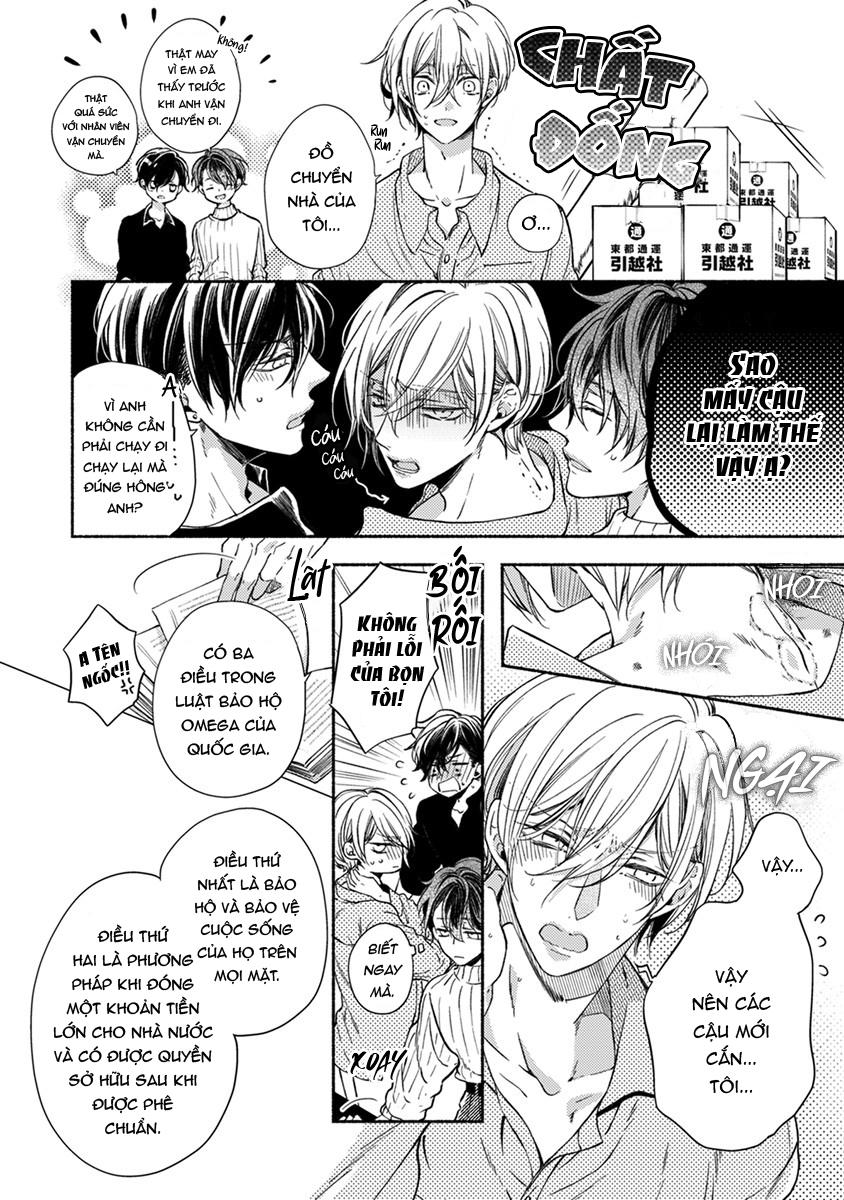 omega giả vờ kiên cường đó là bạn tình của tôi chapter 3 52