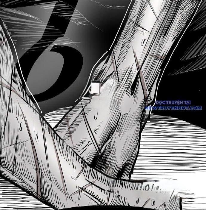 shark - cá mập chapter 339 142