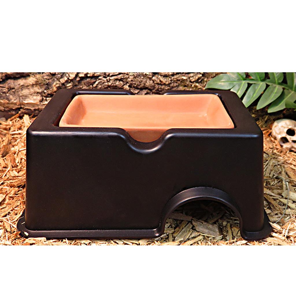 Reptile Humidify Cave Terrarium House for Snake Spider