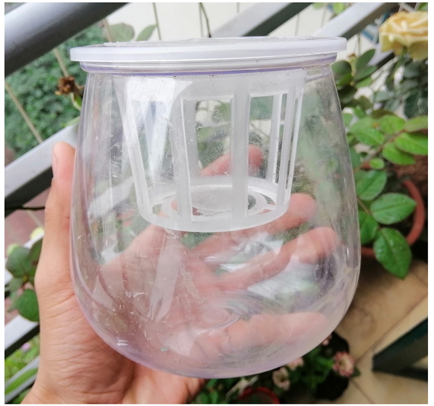ComBo 5 Chậu Nhựa Trồng Cây Thủy Sinh, Kích Thước 10x10x13Cm