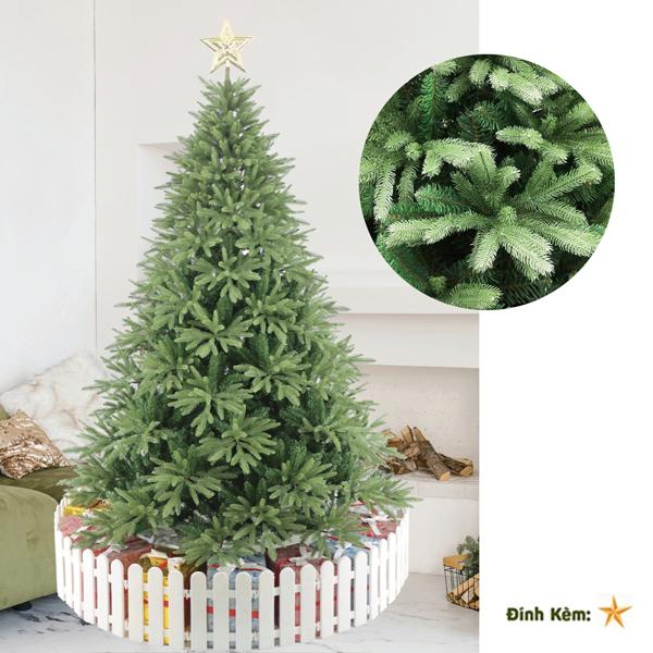 Cây Thông PE 3 Loại Lá 180 cm - Cây Tự Động - Chaang Chiia LP-OT-6