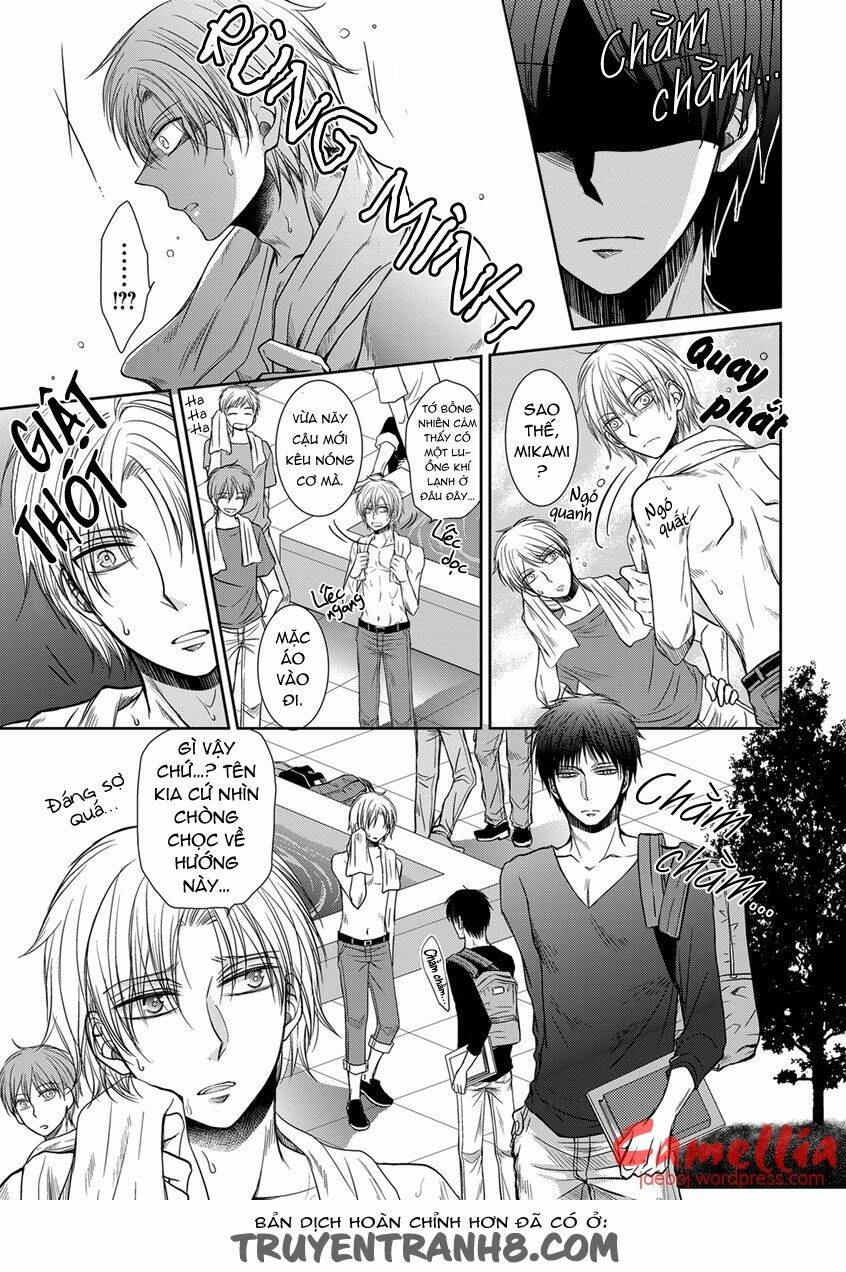 [camellia] đừng chạm vào ngực tôi! chapter 1 7