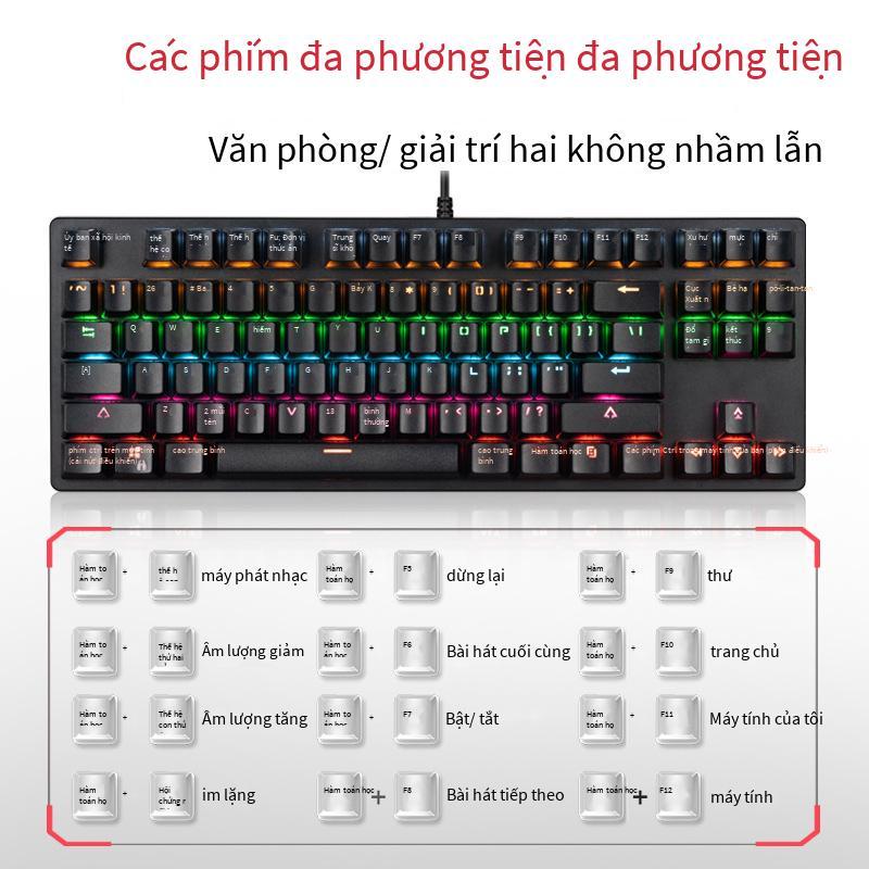 Đặc Biệt Tặng Vẹt Mới Xanh Trục Chống Bụi Cạnh Tranh 26 Phím Không Bấm 87 Phím Kinh Doanh Bàn Phím Trò Chơi Cặp Đôi bàn Phím Cơ Thật