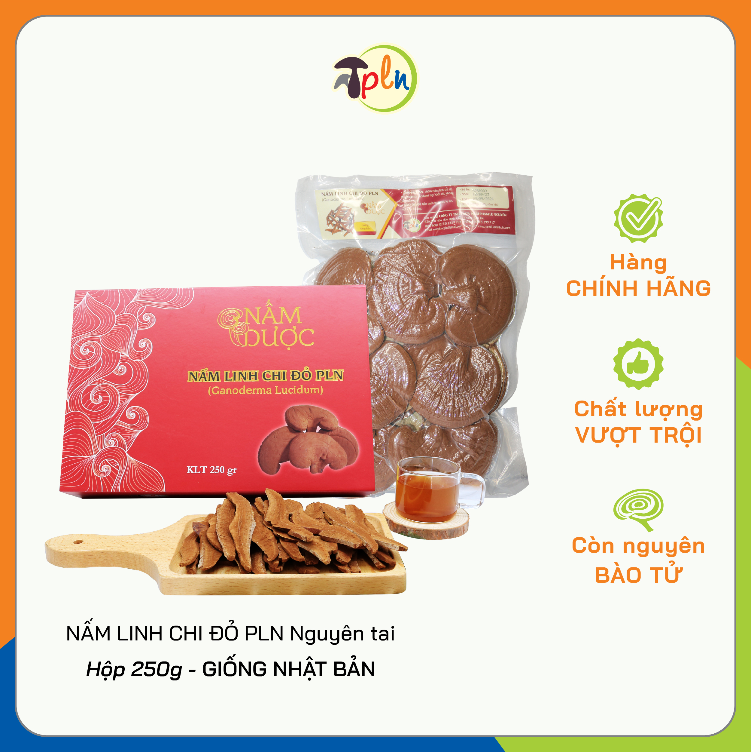 NẤM LINH CHI ĐỎ PLN - Nguyên tai. Hộp 250g - Giống Nhật Bản