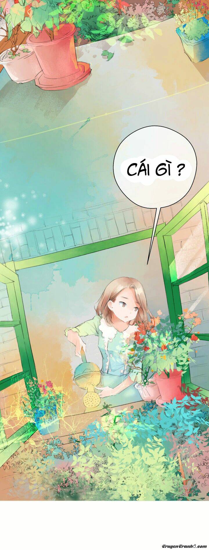 nuan nuan wu chapter 2 4