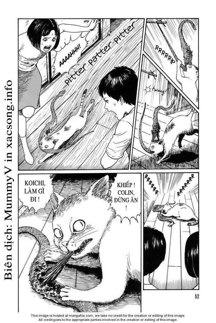 new voices in the dark chapter 2 16