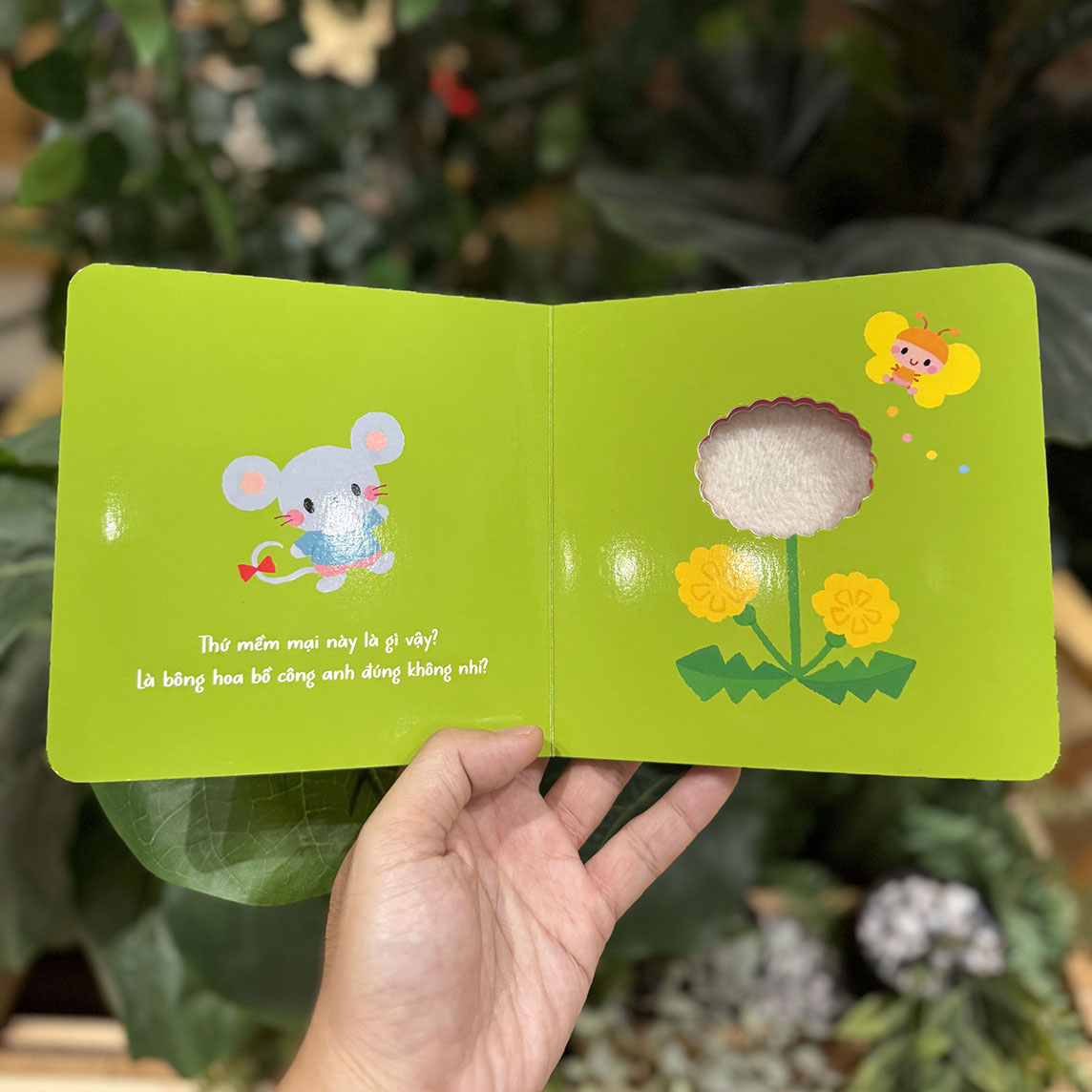 Thứ tròn trĩnh này là gì vậy? - Sách tranh chạm của Arakawa Shizue (mới)