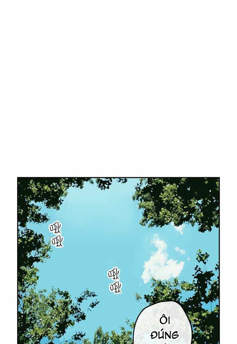 nụ hôn nguyền rủa chapter 101 21