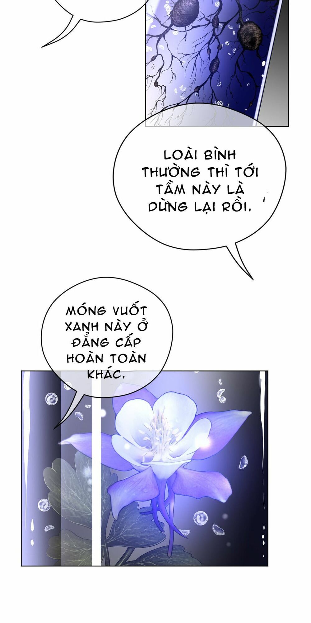 một nửa hoàn hảo chapter 40 10