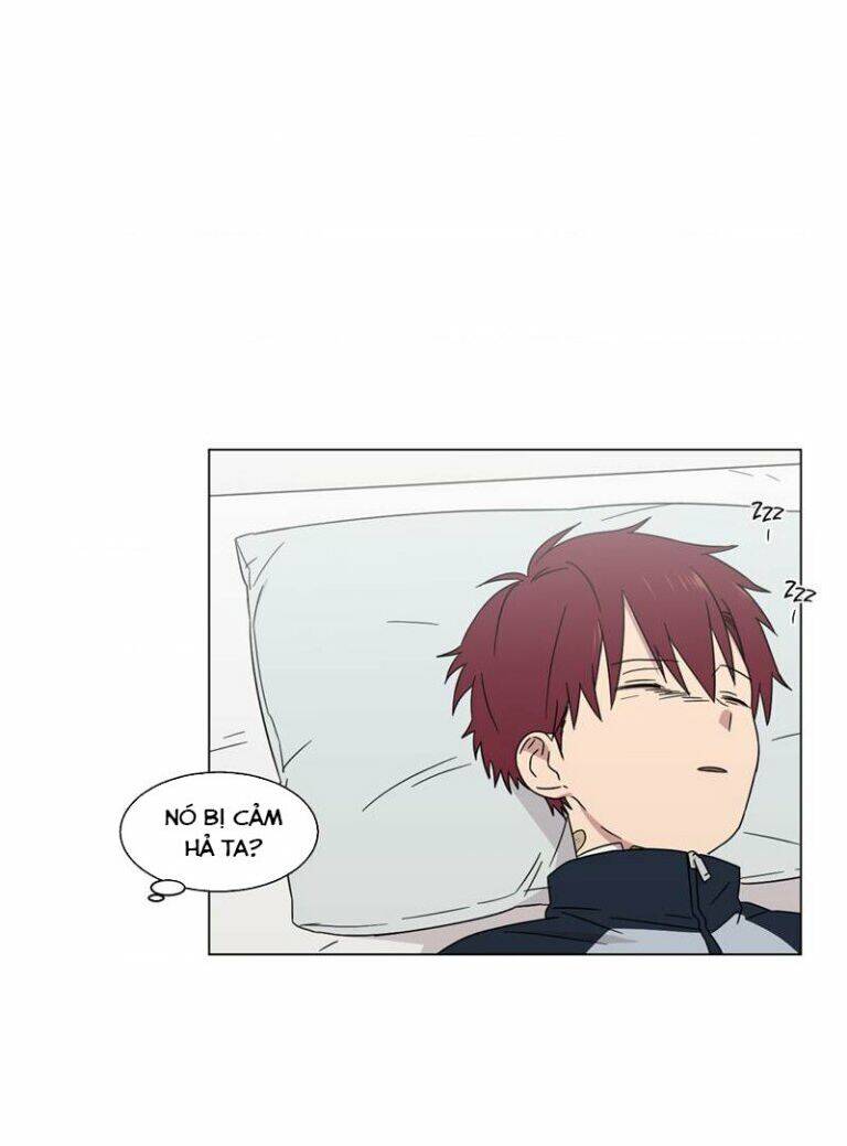 …”một sự thật khá khó chịu.” chapter 52 16