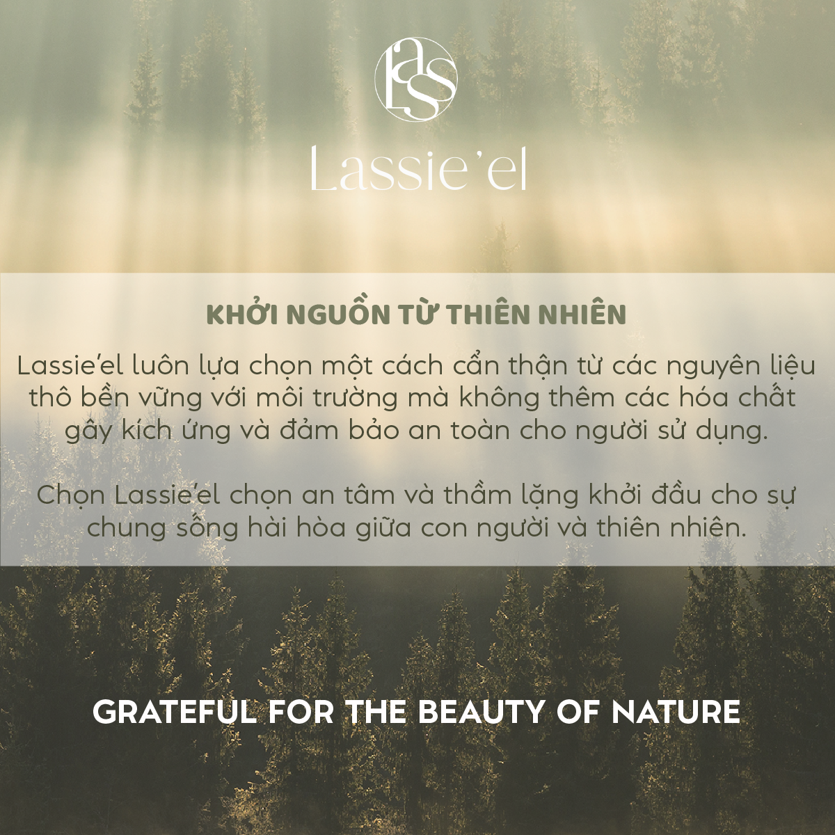 [QUÀ TẶNG KHÔNG BÁN] Túi lưới Lassie'el