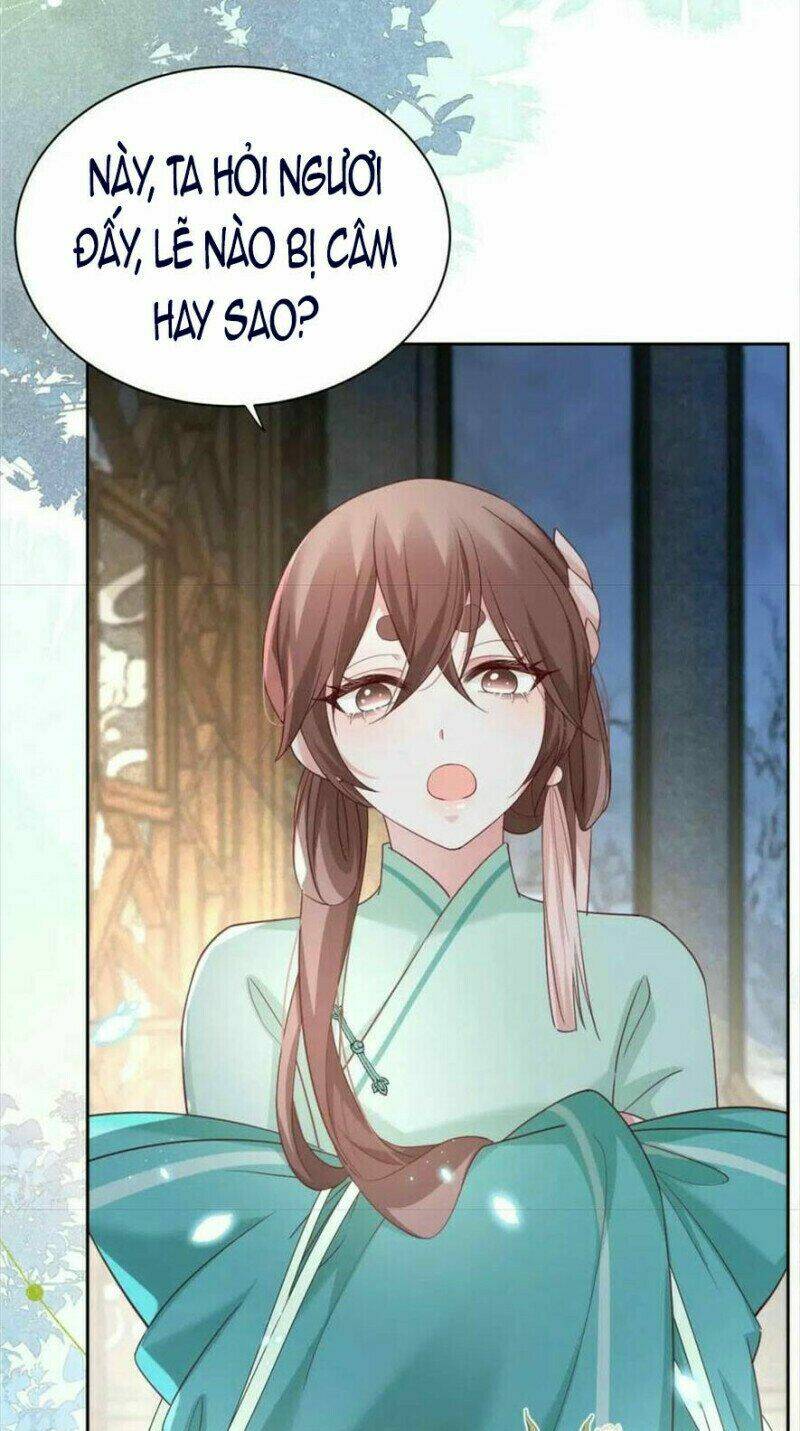 hắc hóa nam chính trực tuyến nuôi thỏ chapter 62 7