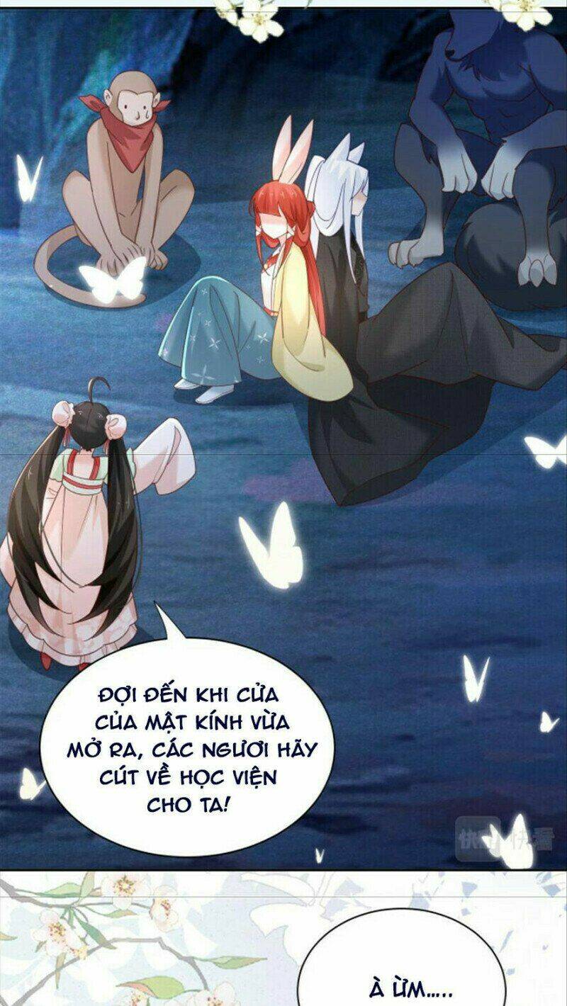 hắc hóa nam chính trực tuyến nuôi thỏ chapter 51 25