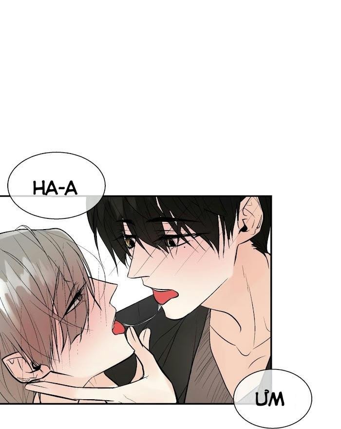 trú ẩn - haven chapter 22.5 9