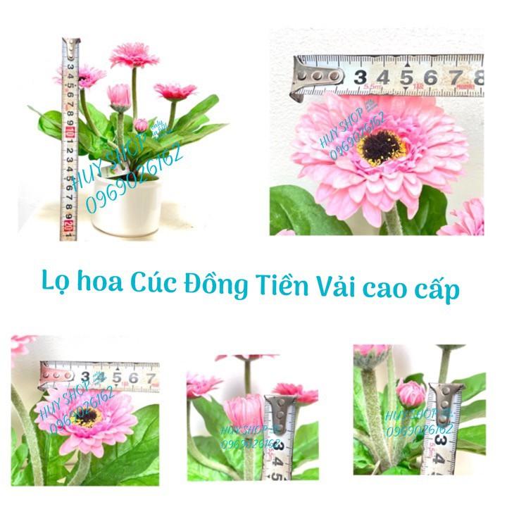 LỌ HOA CÚC ĐỒNG TIỀN VẢI CAO CẤP ĐỂ BÀN