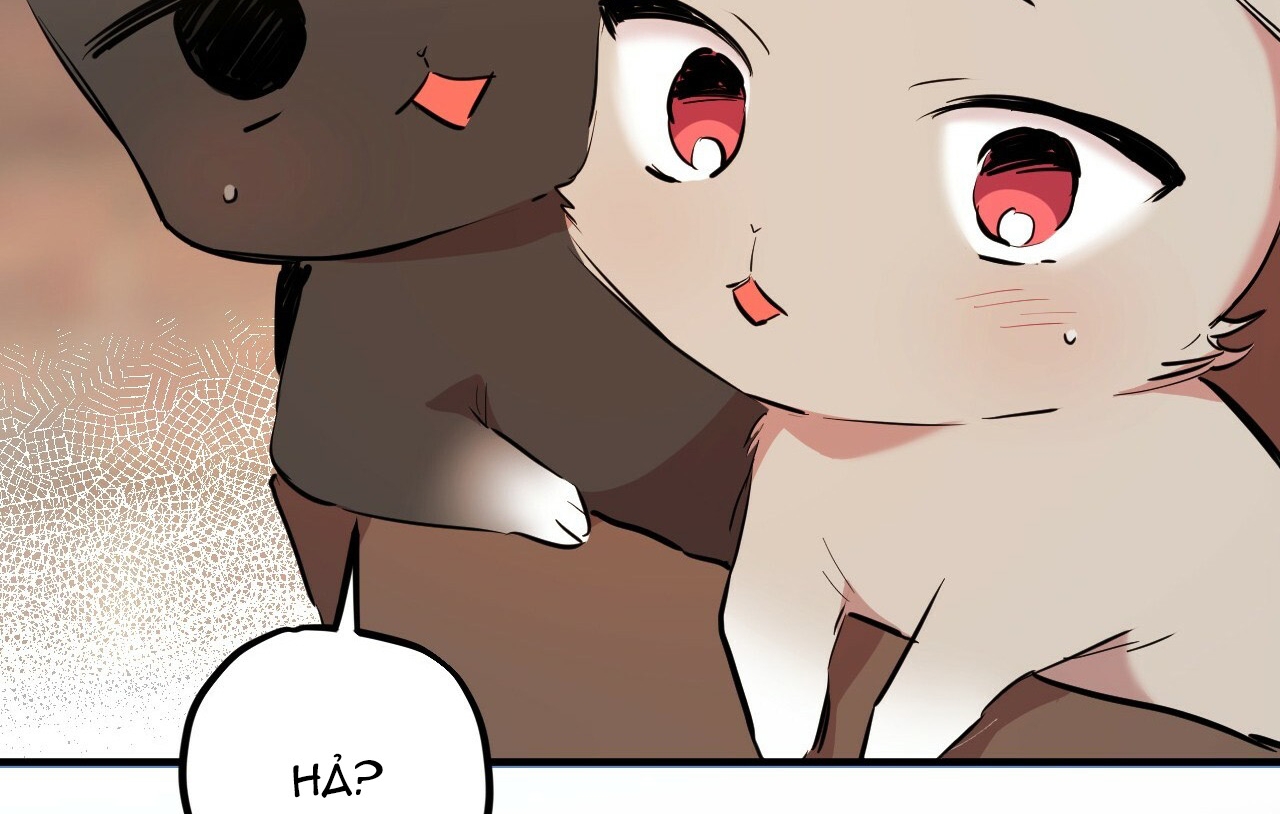 đàn thỏ của habibi chapter 19 243