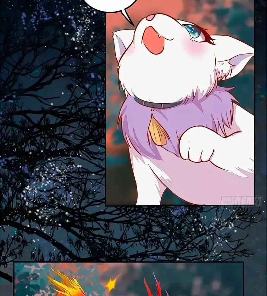 thần y khí nữ: ngự thú cuồng phi của quỷ đế chapter 70 2