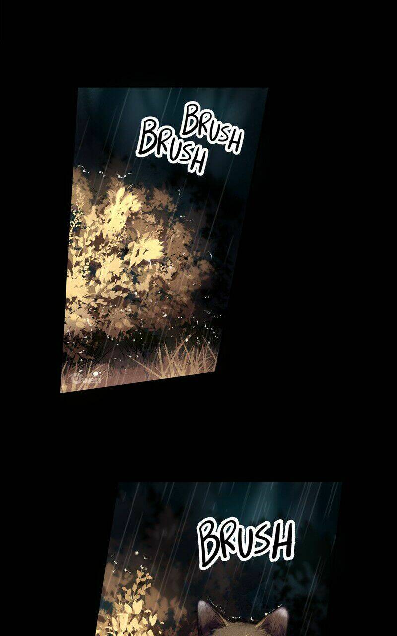 lời nguyền lalin chapter 0 11