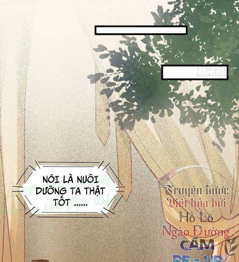 sát thủ vương phi không dễ chọc chapter 34 47