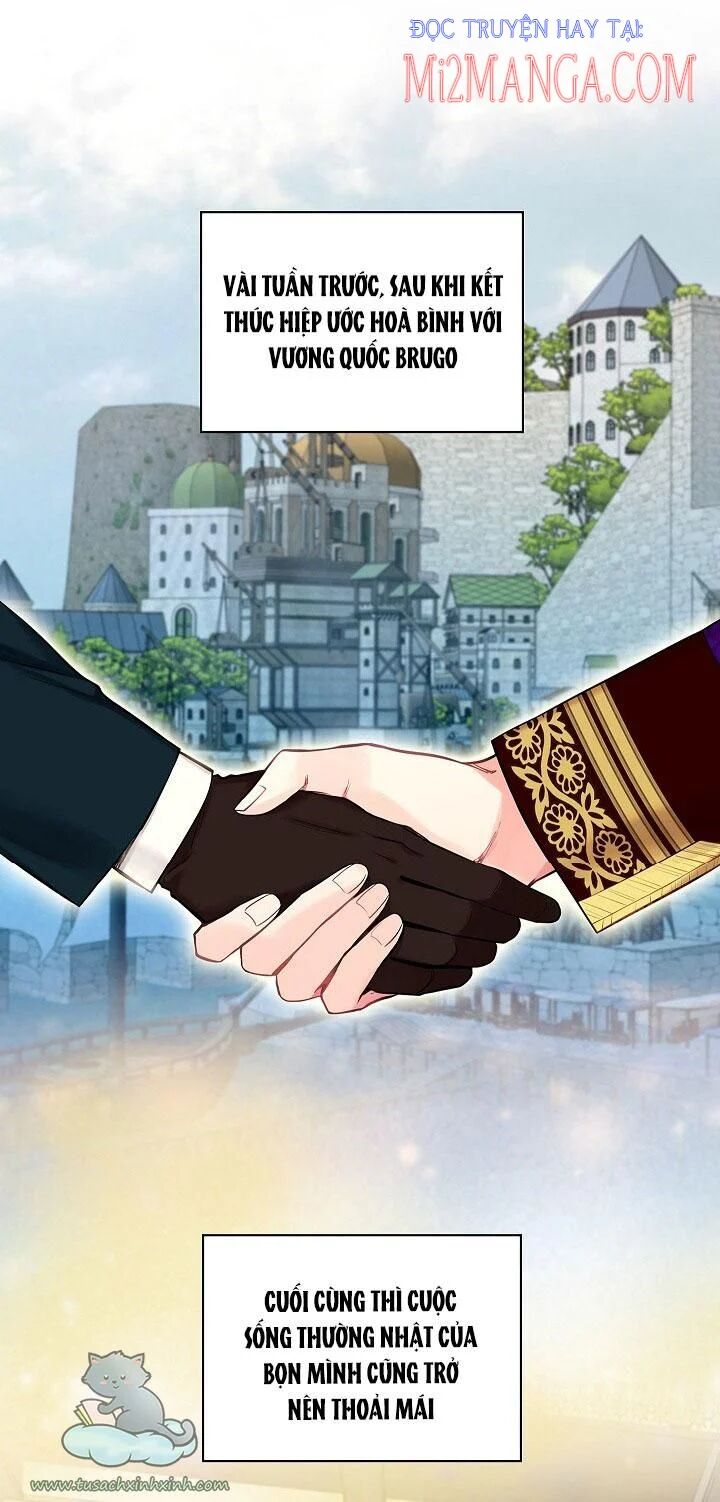 thánh nữ ẩn danh chapter 204 13