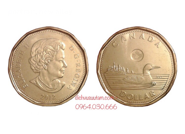 Đồng xu 1 dollar Canada, một trong 10 đồng xu may mắn nhất