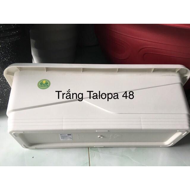 Combo 2 Chậu Nhựa Dài Trồng Rau + Lưới nhựa thông minh