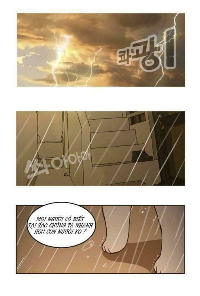 papi nyang chapter 2 13