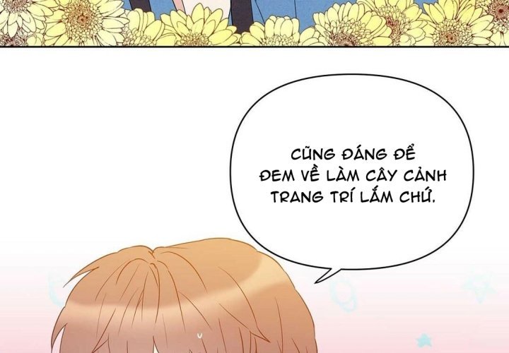 guide cấp b chapter 35 50