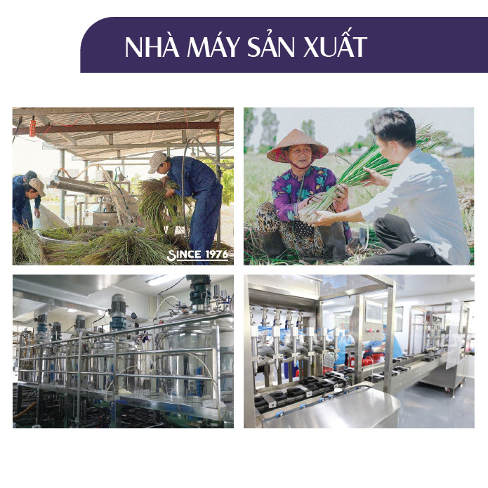 Combo 2 Tinh dầu Bạc Hà + Oải Hương 24Care 10ml/Chai