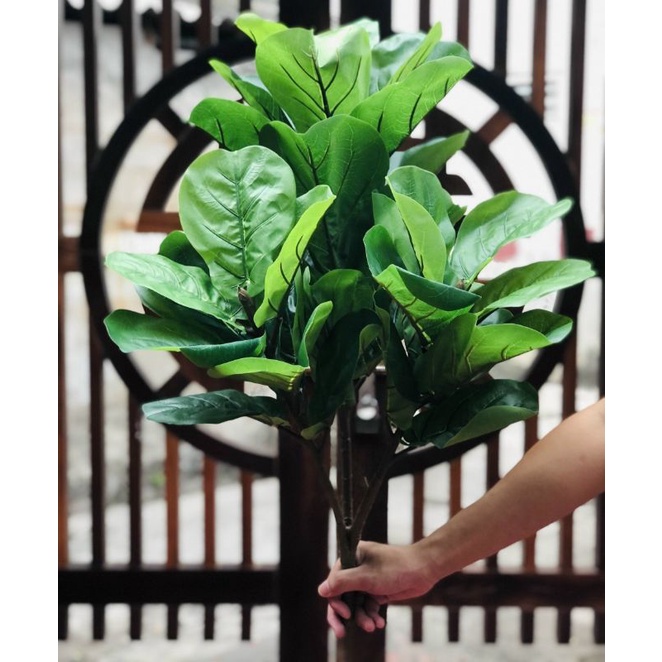 Cây bàng Singapore giả giống thật 99% - 3 nhánh - Cao 100 cm – Cây giả, hoa lụa decor trang trí rẻ, bền, đẹp