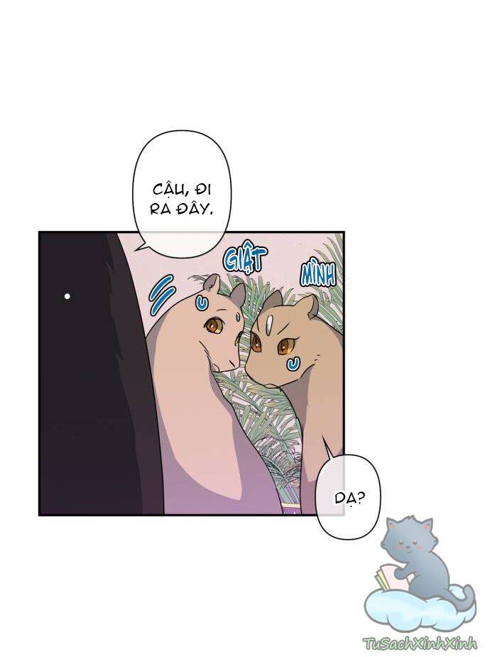 tôi đang nuôi dưỡng một con quái thú chapter 37 17