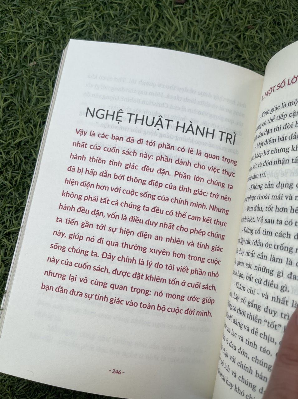 THIỀN ĐỊNH MỖI NGÀY