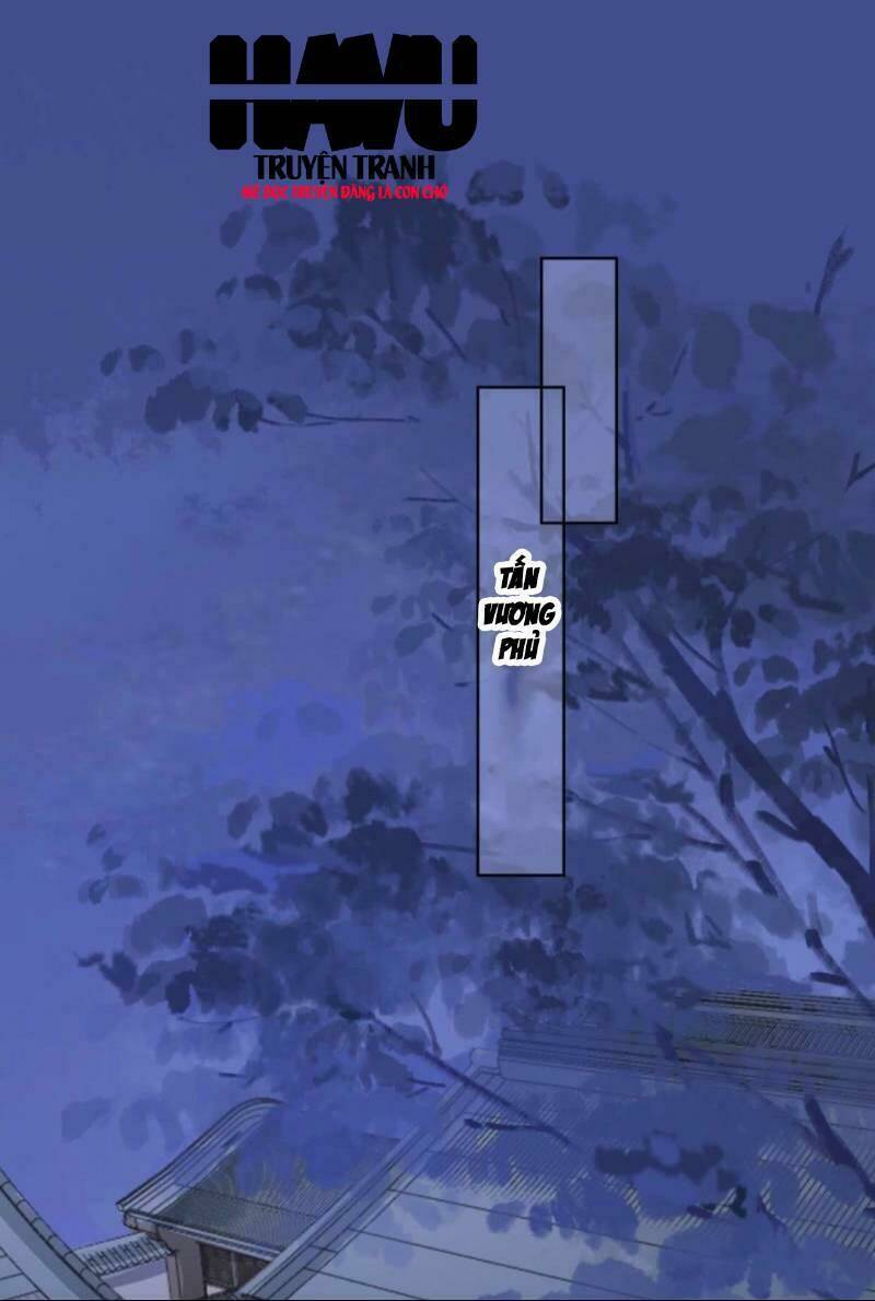 sủng phi của vương chapter 145 1