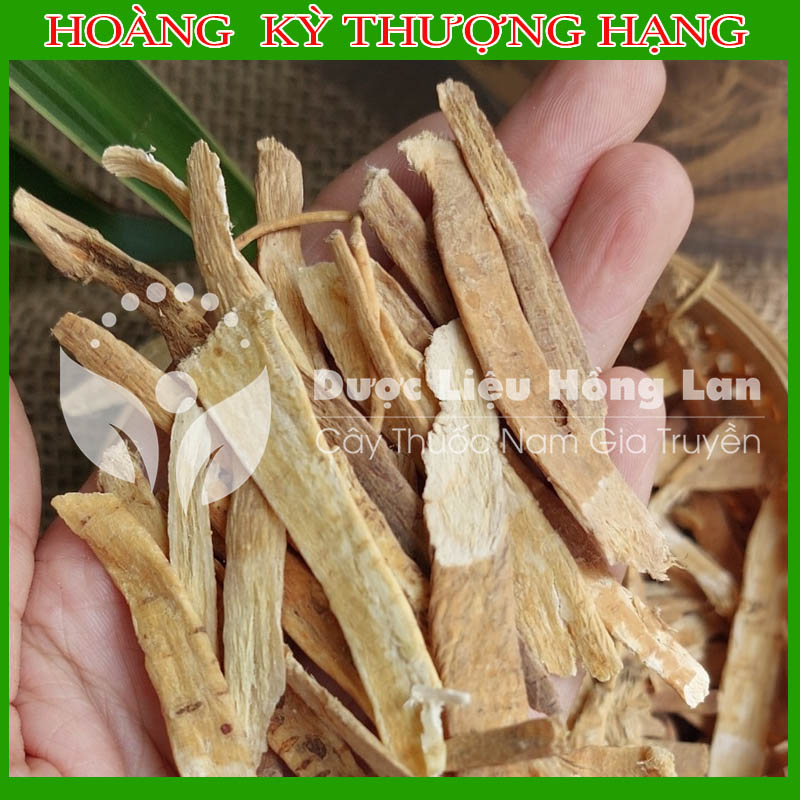 Hoàng kỳ vị thuốc bắc khô sạch đóng gói 500gram