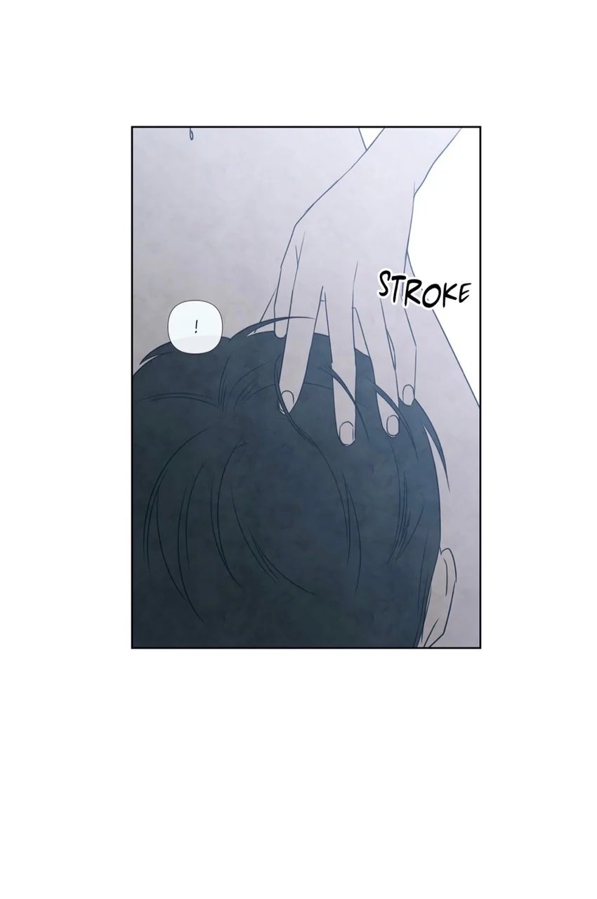 summer solstice point chapter 9 45