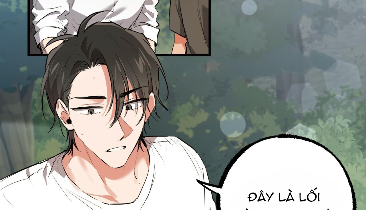 đàn thỏ của habibi chapter 48 142