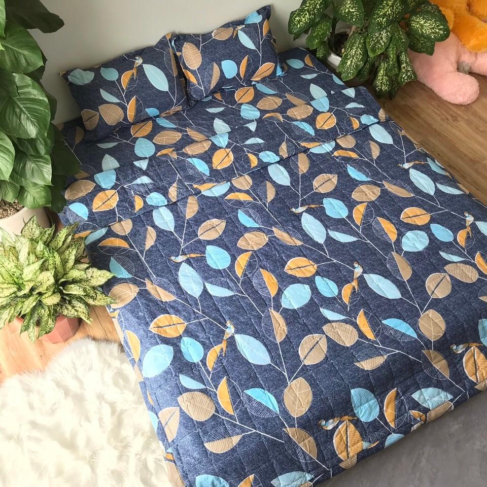 Bộ ga + 2 vỏ gối bọc chun cotton mẫu mã đa dạng