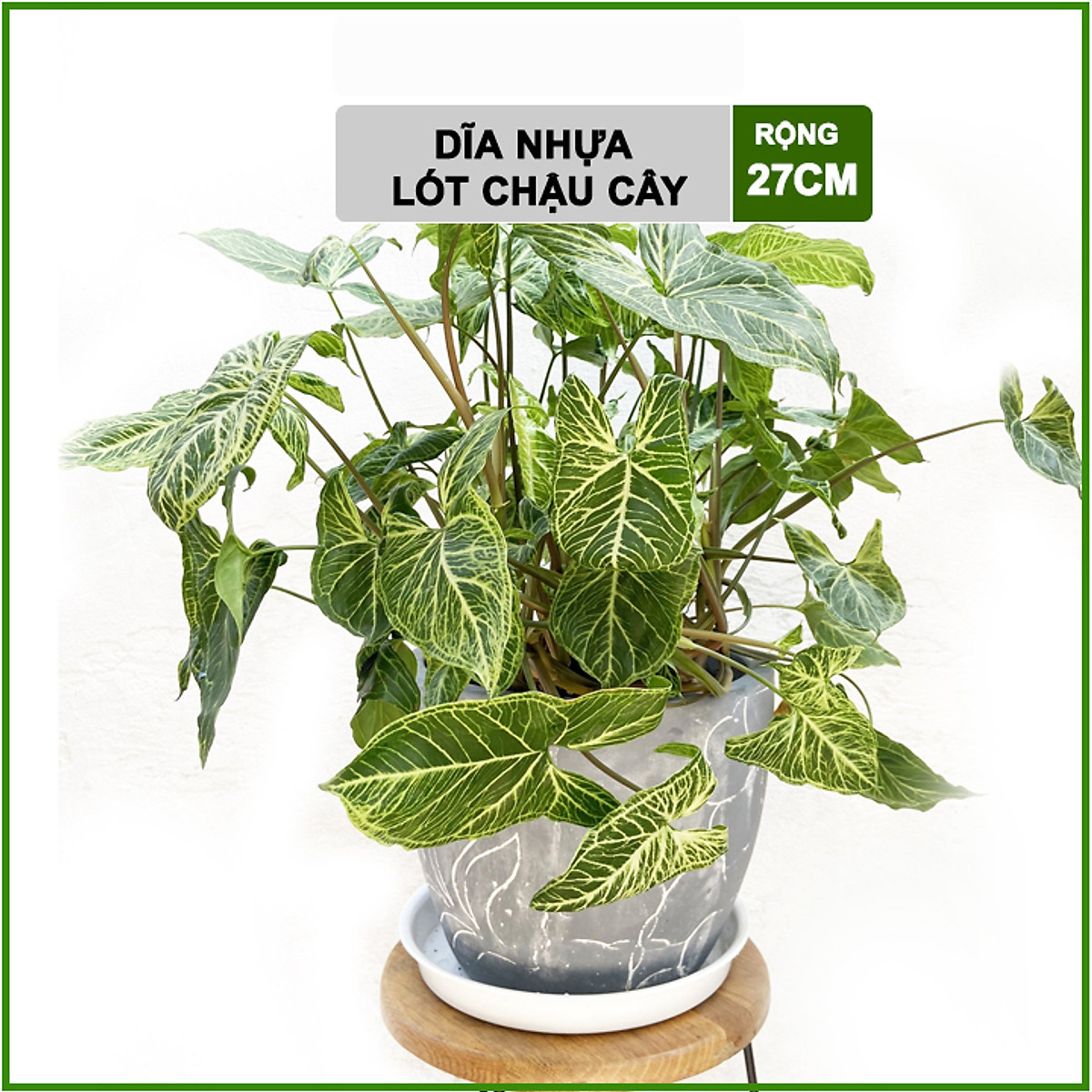 Đĩa nhựa lót chậu R27cm - Khay lót chậu cây, hoa kiểng
