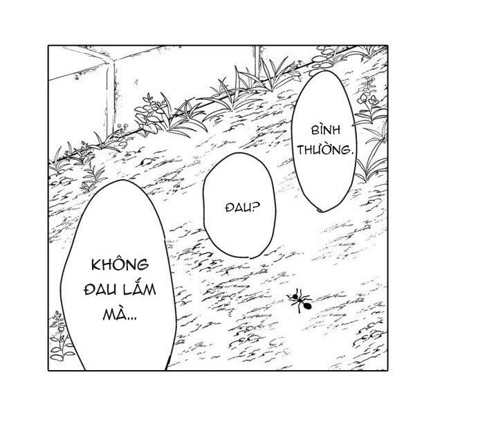 hiyoko-chan to harinezumi-kun chapter 10 8