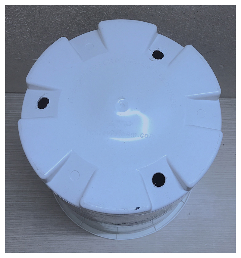 10 Chậu Nhựa Trồng Hoa Cây Cảnh Long Phụng 21 - Kích Thước 24x26,5 Cm