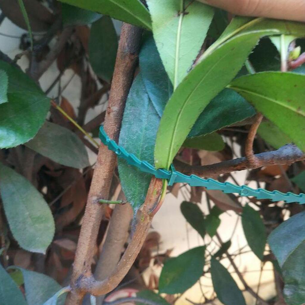 2x Garden Plants Tie Reusable Plastic Ties Tree Climbing Aid Garden Tie 23CM