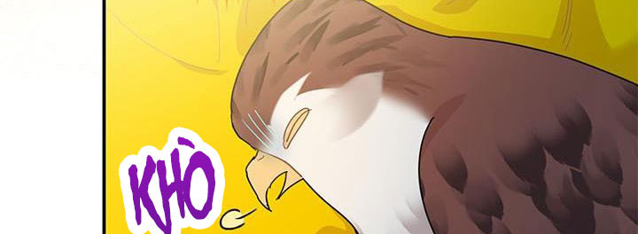 công chúa của loài chim chapter 51.1 233