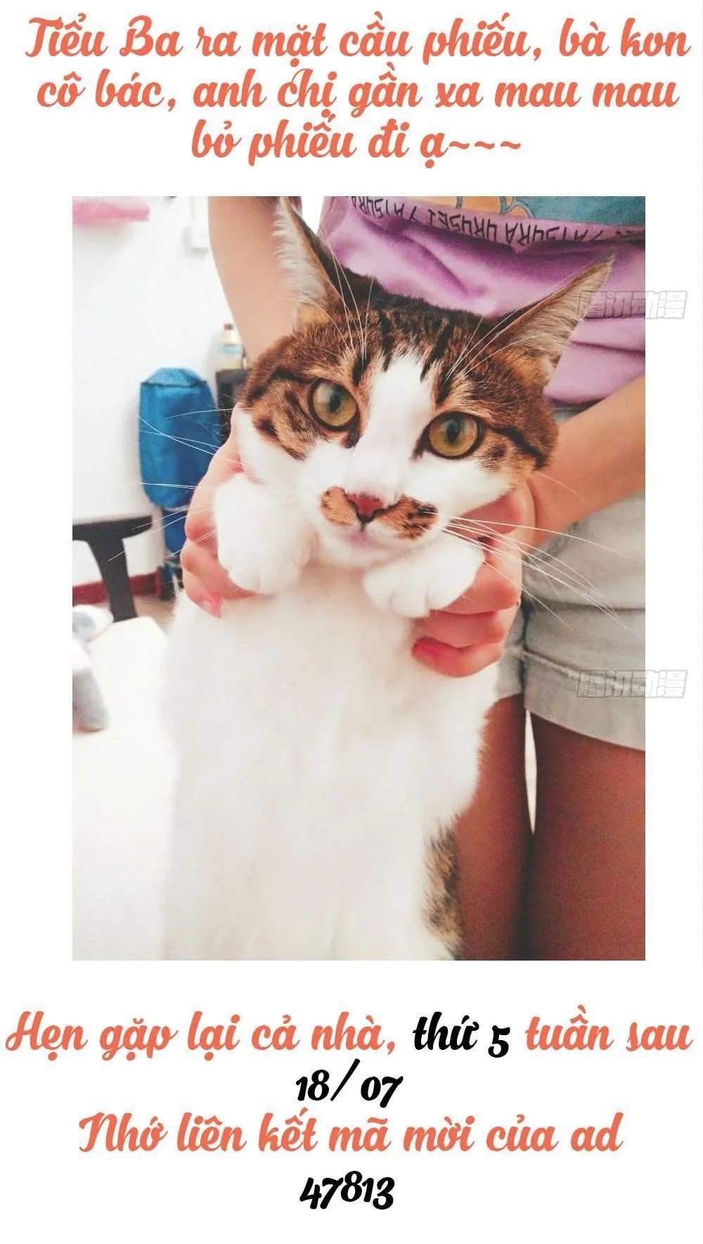 thái tử phi nhà ta thật hung hăng chapter 14.3 102