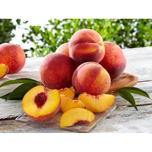 Cây đào tiên Nhật Bản cho trái sớm, cây giống khỏe dễ trồng ít sâu bệnh, cây thấp năng suất cao
